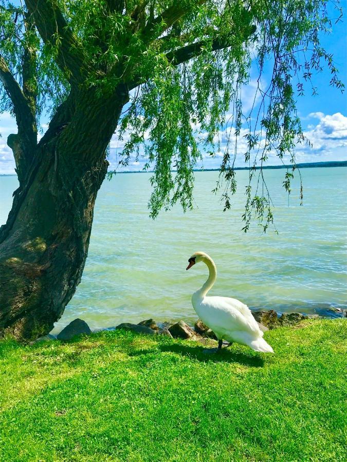 Lavender Cottage Balatongyörök Dış mekan fotoğraf